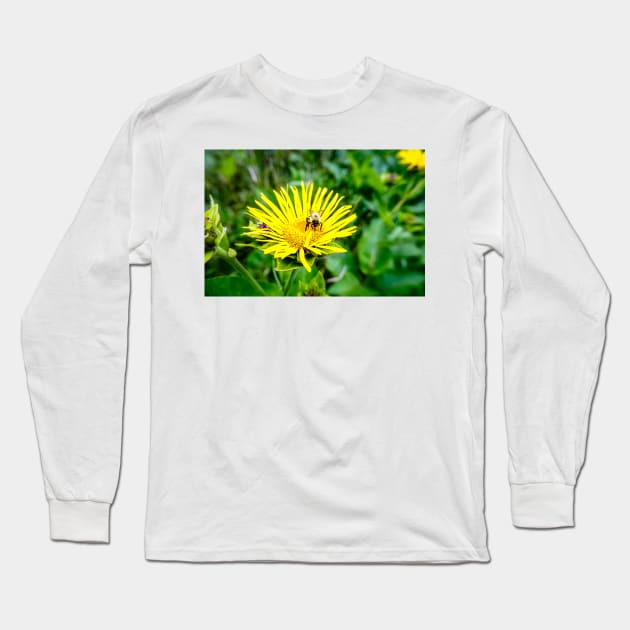 Bee On Elecampane Flower 1 Long Sleeve T-Shirt by Robert Alsop